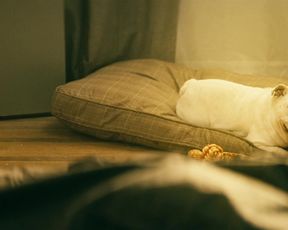 TV show scene Shantel VanSanten nude - The Boys s01e04 (2019) 