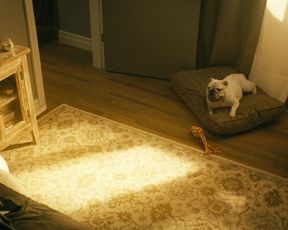 TV show scene Shantel VanSanten nude - The Boys s01e04 (2019) 