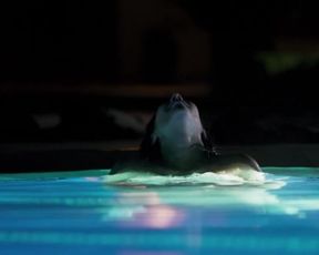 Naked scene Gaby Espino, Margarita Rosa de Francisco nude - Jugar Con Fuego (2019) S01e01-08 TV show nudity video