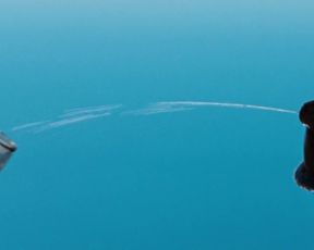 Marine Sainsily, Elina Lowensohn naked - Laissez bronzer les cadavres (2017)