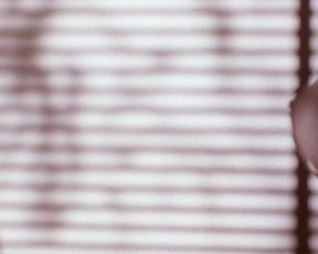 Athena Massey, Rena Riffel, Elena Olanson nude - Undercover (1995)