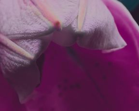 Serenna - Militao Talvez (2017)