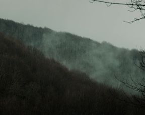 Barbara Lennie, Susi Sanchez nude - Sunday's Illness (2018)