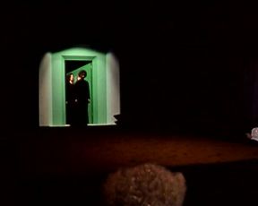 Celebrity Lesbian Video - Explicit Classic - Behind The Green Door - Lesby Video 