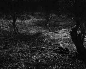 Sexy Sophie Faulkenberry sexy - Alex Strangelove (2018) 