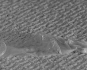 Daniela Schmidt naked – Chorus (2015)