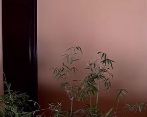 Explicit sex scene Melanie Patrikot sex naked – Eden Hotel (2015) Adult video from the movie